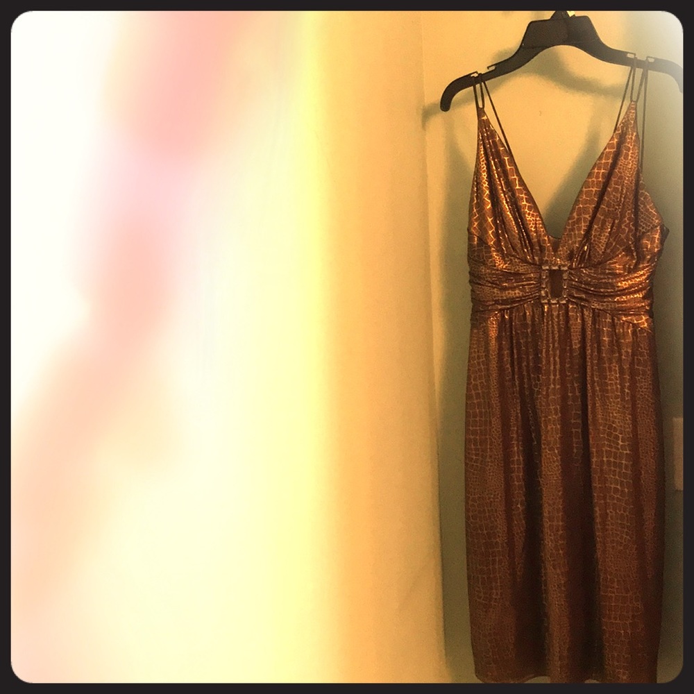 Women’s cocktail dress